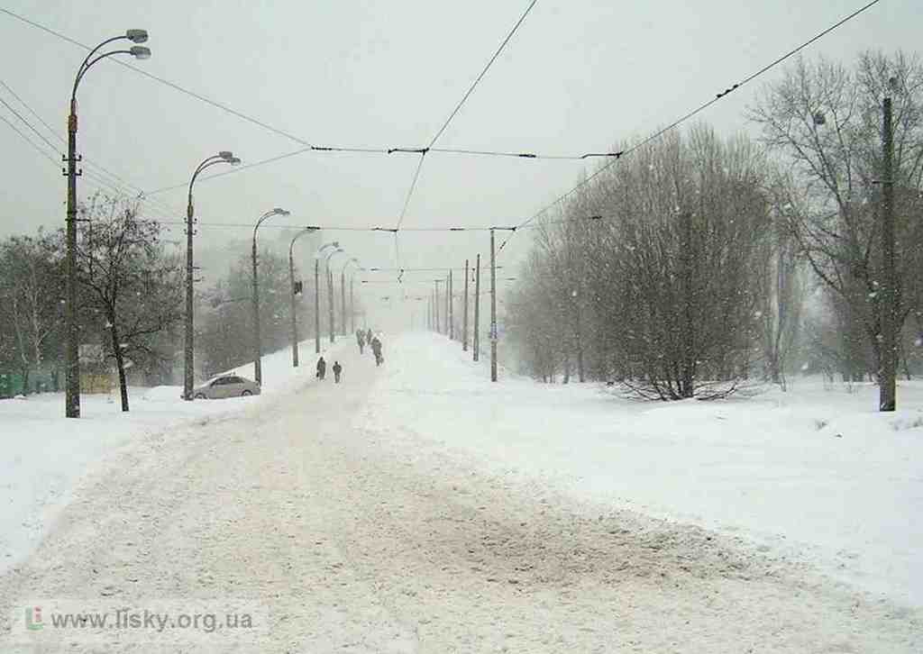 Як справляються з негодою на окраїнах Києва?