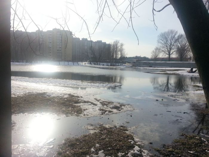 Приватний сектор ДВРЗ іде під воду