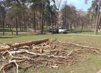 В парку «Сосновий» на ДВРЗ проводять санітарну обрізку дерев