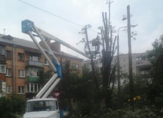 У дворах житлових будинків на ДВРЗ проводять санітарну обрізку дерев