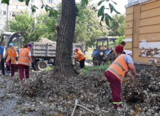 За допомогою спецтехніки на ДВРЗ подрібнюють сухі гілки